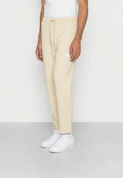 The North Face STANDARD PANT - Tracksuit Bottoms - Gravel