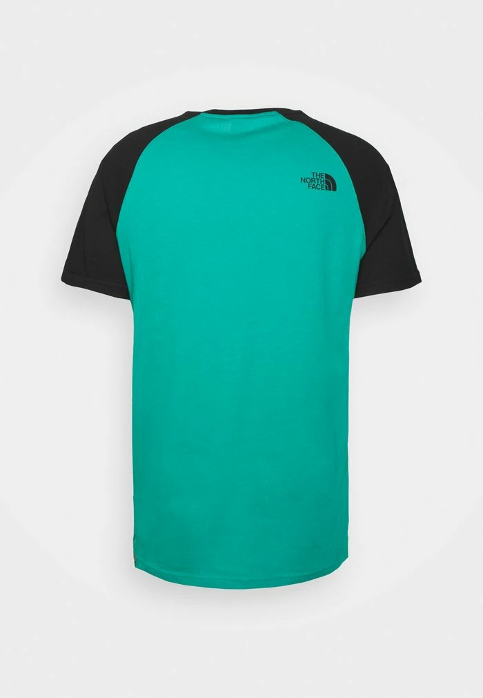 The North Face RAGLAN EASY TEE - Print T-shirt - Porcelain Green - Image 2