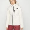 The North Face DESCENDIT JACKET - Ski Jacket - Gardenia White