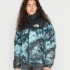 The North Face PRINTED RETRO NUPTSE JACKET UNISEX - Down Jacket - Wasabi Ice