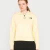 The North Face HOODIE GRAPHIC - Hoodie - Pale Banana