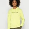The North Face COORDINATES HOODIE - Sweatshirt - Sharp Green