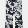 The North Face FREEDOM INSULATED PANT - Snow Pants - Lavender Fog Mountaintop Print