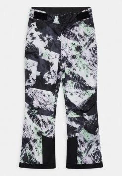 The North Face FREEDOM INSULATED PANT - Snow Pants - Lavender Fog Mountaintop Print