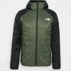 The North Face QUEST SYNTHETIC JACKET - Outdoor Jacket - Thyme/black
