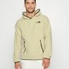 The North Face GLACIER HOODIE - Hoodie - Gravel