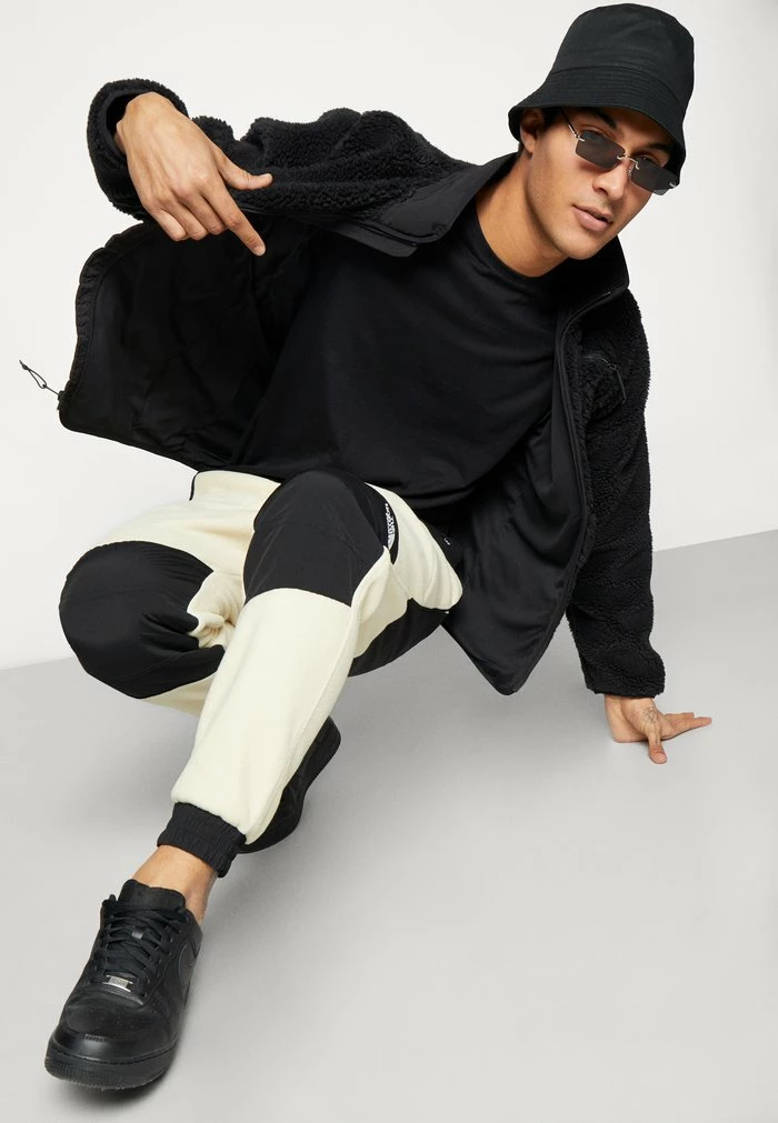 The North Face DENALI PANT - Tracksuit Bottoms - Gravel - Image 4