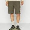 The North Face GLACIER SHORT - Sports Shorts - New Taupe Green