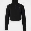 The North Face GLACIER CROPPED ZIP - Fleece Jumper - Black