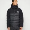 The North Face ANORAK - Winter Jacket - Black