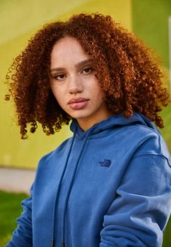 The North Face CITY STANDARD HOODIE - Sweatshirt - Shady Blue