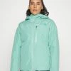 The North Face DESCENDIT JACKET - Ski Jacket - Wasabi