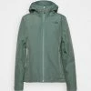 The North Face DRYZZLE FUTURELIGHT INSULATED JACKET - Waterproof Jacket - Balsam Green