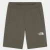 The North Face UNISEX - Sports Shorts - New Taupe Green