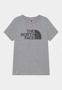The North Face TEENS EASY TEE UNISEX - Print T-shirt - Light Grey Heather