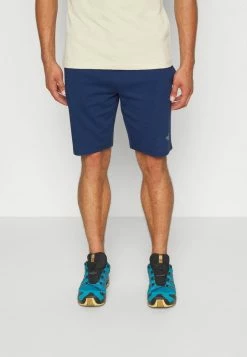 The North Face GRAPHIC SHORT LIGHT - Sports Shorts - Shady Blue