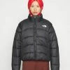 The North Face ELEMENTS JACKET 2000 - Winter Jacket - Black