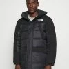 The North Face INSULATED - Winter Coat - Black
