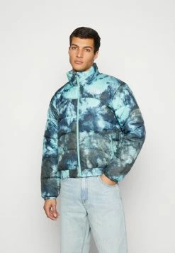 The North Face PRINTED JACKET 2000 - Winter Jacket - Wasabi Ice