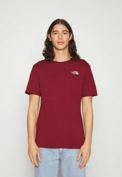 The North Face NATURE DOME - Print T-shirt - Red