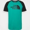 The North Face RAGLAN EASY TEE - Print T-shirt - Porcelain Green