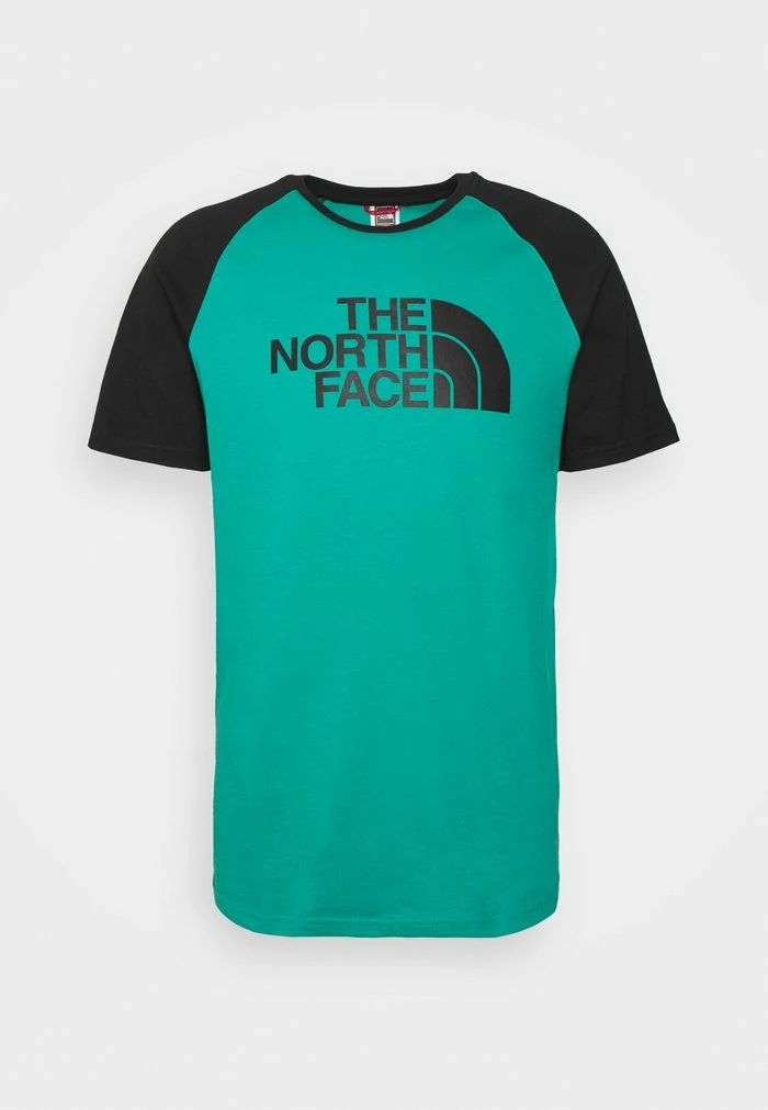 The North Face RAGLAN EASY TEE - Print T-shirt - Porcelain Green