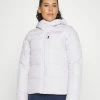 The North Face HEAVENLY JACKET - Ski Jacket - Lavender Fog Heather