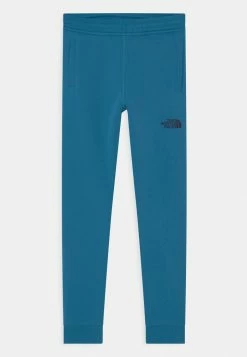 The North Face YOUTH PANT - Tracksuit Bottoms - Banff Blue