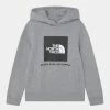 The North Face BOX HOODIE - Sweatshirt - Light Grey Heather