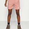 The North Face GLACIER SHORT - Sports Shorts - Rose Dawn