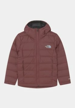 The North Face NEVER STOP - Down Jacket - Wild Ginger