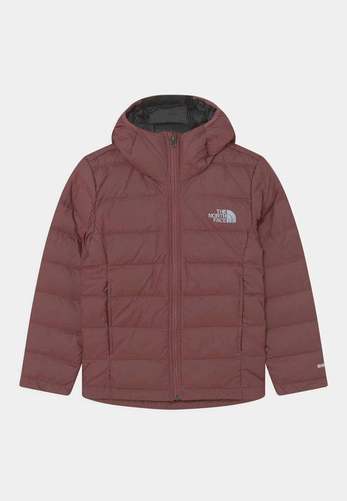 The North Face NEVER STOP - Down Jacket - Wild Ginger