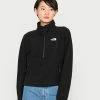 The North Face ATTITUDE ZIP - Fleece Jumper - Black