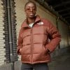 The North Face INSULATED JACKET - Winter Jacket - Dark Oak
