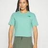 The North Face OUTDOORS GRAPHIC CROP TEE - Print T-shirt - Wasabi/evg Sand Pink/ultramarine Green