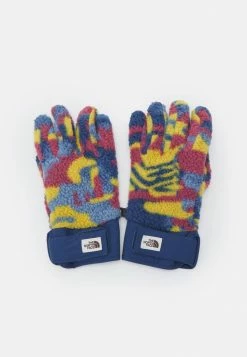 The North Face CRAGMONT GLOVE UNISEX - Gloves - Shady Blue Dazzle