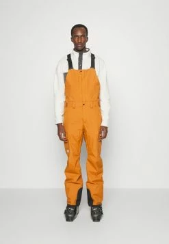 The North Face FREEDOM - Snow Pants - Leather Brown