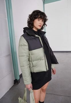 The North Face SAIKURU JACKET - Winter Jacket - Tea Green