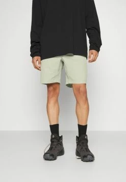 The North Face PROJECT SHORT - Sports Shorts - Tea Green