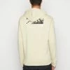 The North Face COORDINATES HOODIE - Sweatshirt - Gravel
