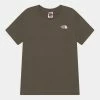 The North Face SIMPLE DOME TEE UNISEX - Print T-shirt - New Taupe Green