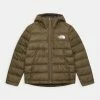 The North Face NEVER STOP UNISEX - Down Jacket - New Taupe Green