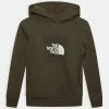 The North Face BOX HOODIE - Sweatshirt - New Taupe Green