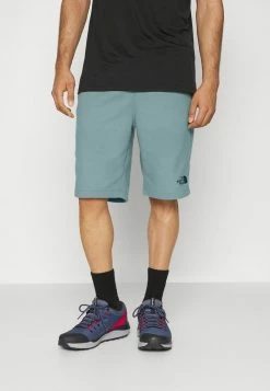 The North Face GLACIER SHORT - Sports Shorts - Goblin Blue