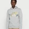 The North Face STANDARD HOODIE - Hoodie - Mottled Grey