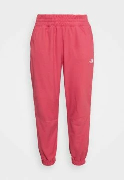 The North Face GLACIER PANT - Tracksuit Bottoms - Slate Rose