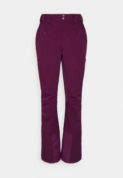 The North Face LENADO PANT - Snow Pants - Pamplona Purple