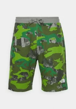 The North Face GRAPHIC LIGHT - Sports Shorts - Tea Green