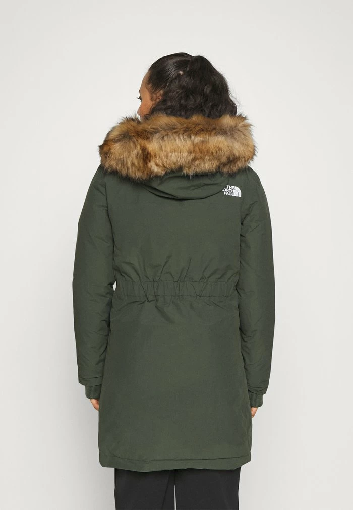 The North Face ARCTIC PARKA - Down Coat - Thyme - Image 3