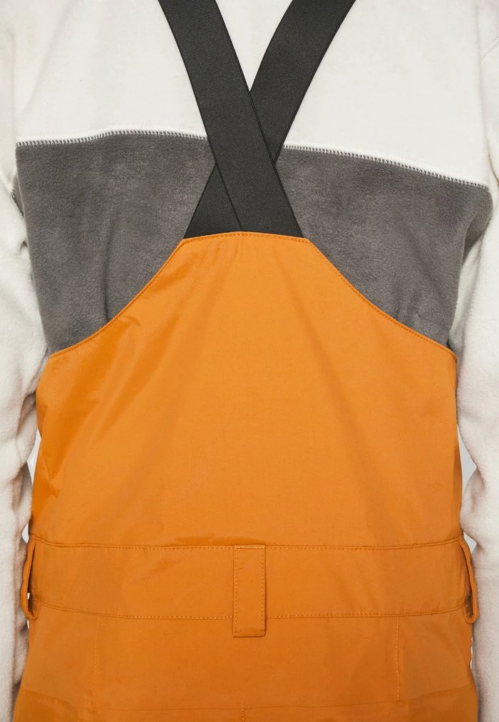 The North Face FREEDOM - Snow Pants - Leather Brown - Image 8